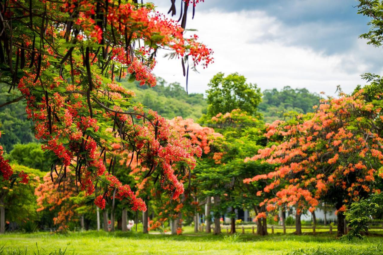 Diamond Hill Resort Nong Nam Daeng Экстерьер фото